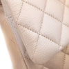 Chanel Classic Double Flap 22C Medium Goatskin Iridescent Beige Gold Cloudy Metallic Ombre GHW Matt